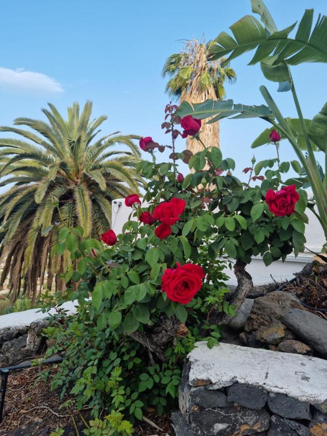 埃尔帕索Rural Jardines La Quinta别墅 外观 照片