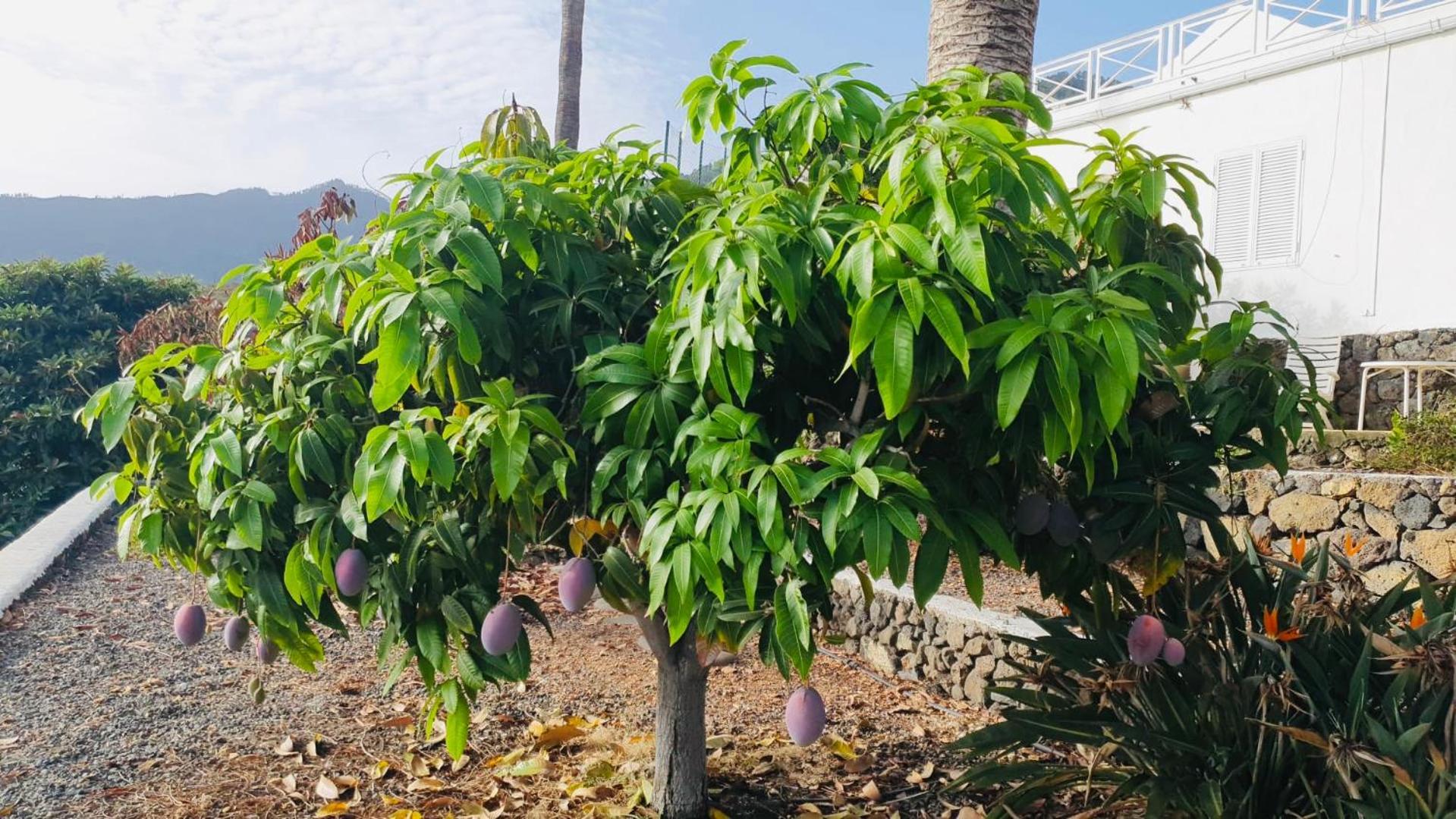 埃尔帕索Rural Jardines La Quinta别墅 外观 照片
