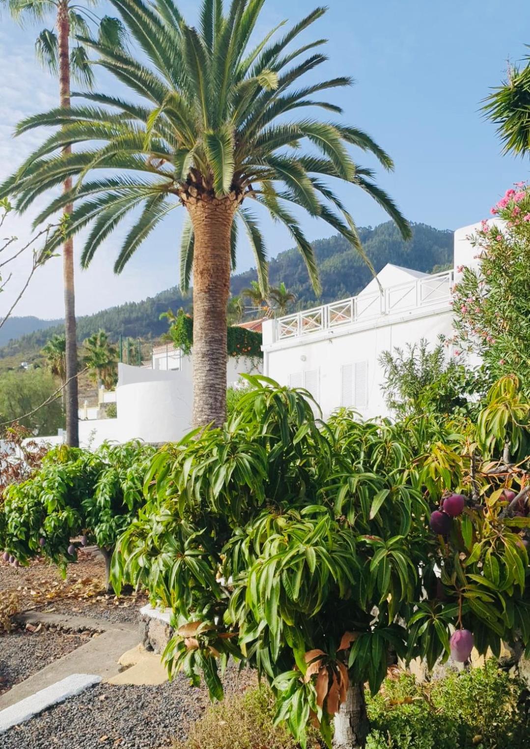 埃尔帕索Rural Jardines La Quinta别墅 外观 照片